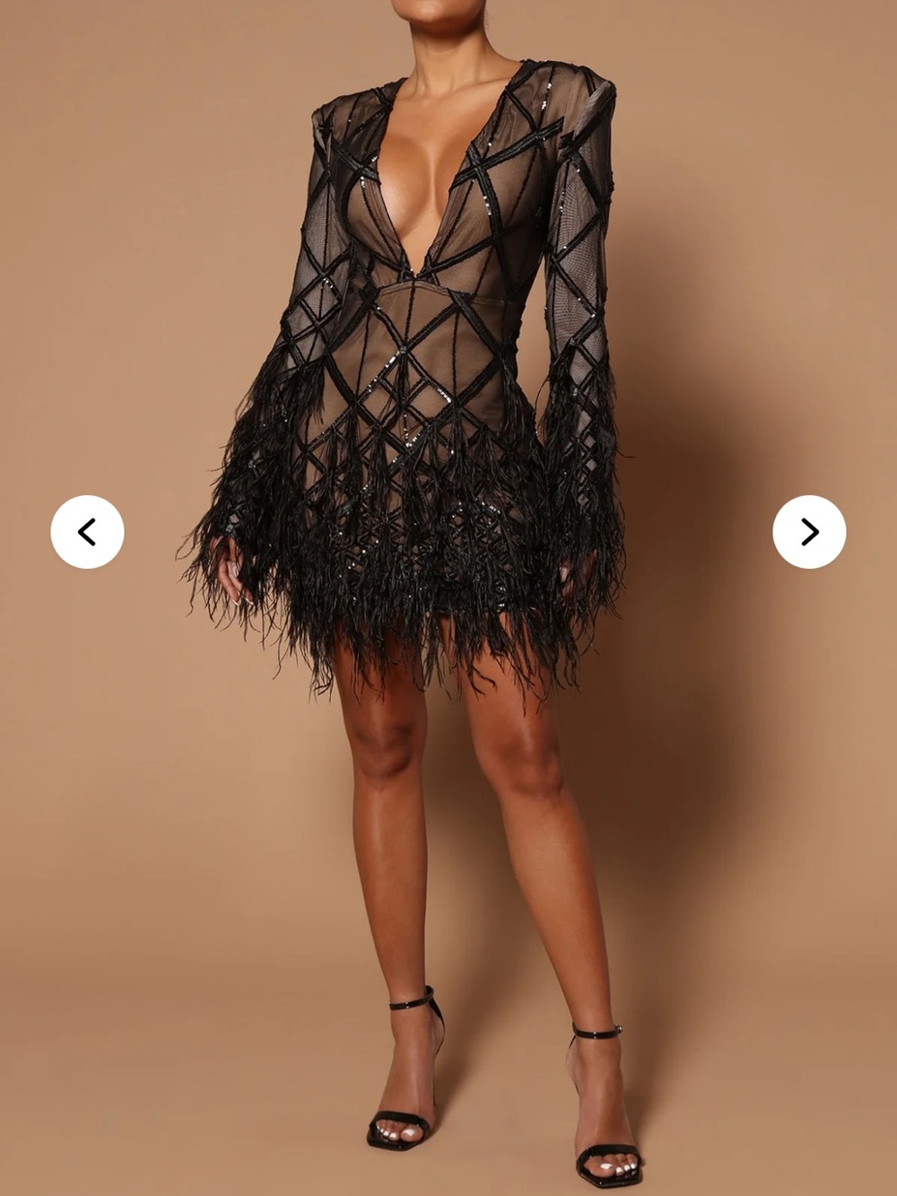 Elegant Black Feather-Trim Sheer Mini Dress